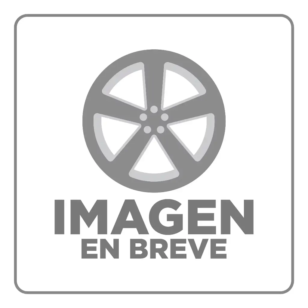 RIN 17X9 4-100/114.3 R1 SPORT U5109 SILVER MACHINE FACE ET25 CB73.1